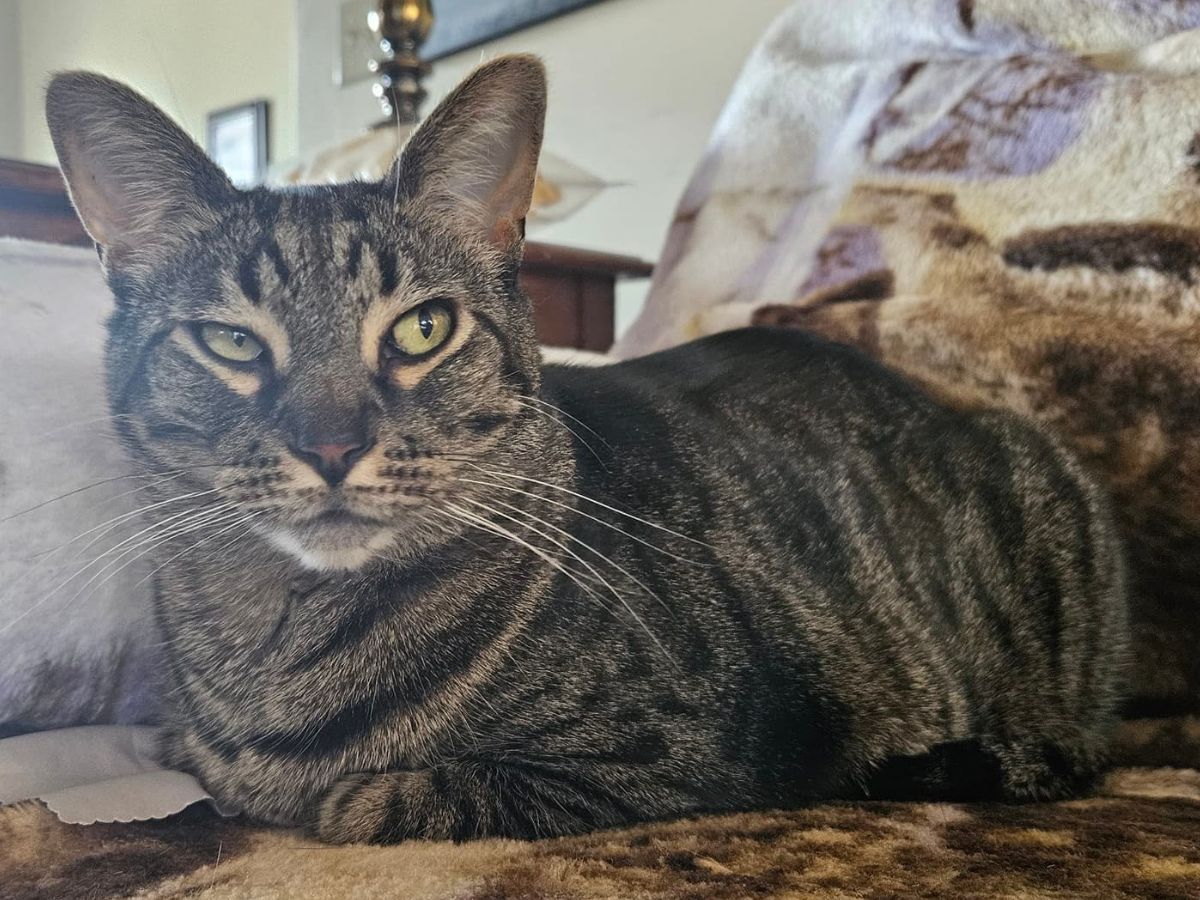 Jethro