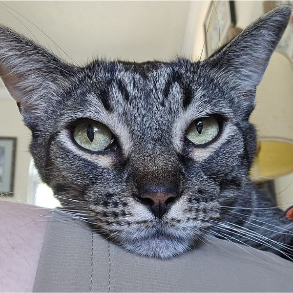 Jethro