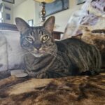 jethro